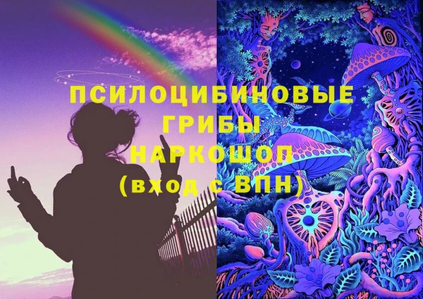 мет Новозыбков